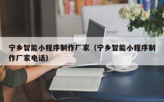 大连宁乡智能小程序制作厂家（宁乡智能小程序制作厂家电话）