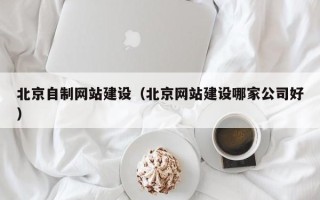 大连北京自制网站建设（北京网站建设哪家公司好）