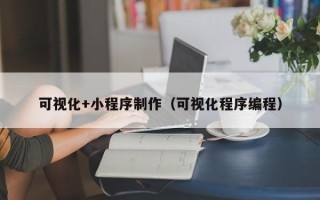 大连可视化+小程序制作（可视化程序编程）